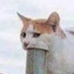 Meet your Posher, Kacper